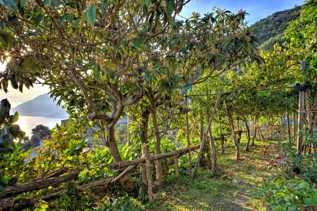 Villa Ad Maiori Luaran gambar